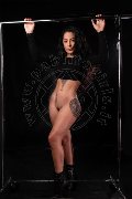 Foto 3475535212 Girl Alessandria Angel Dark - 6