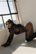 Foto Hot 3933237965 Girl Pisa Loren Brasil - 2